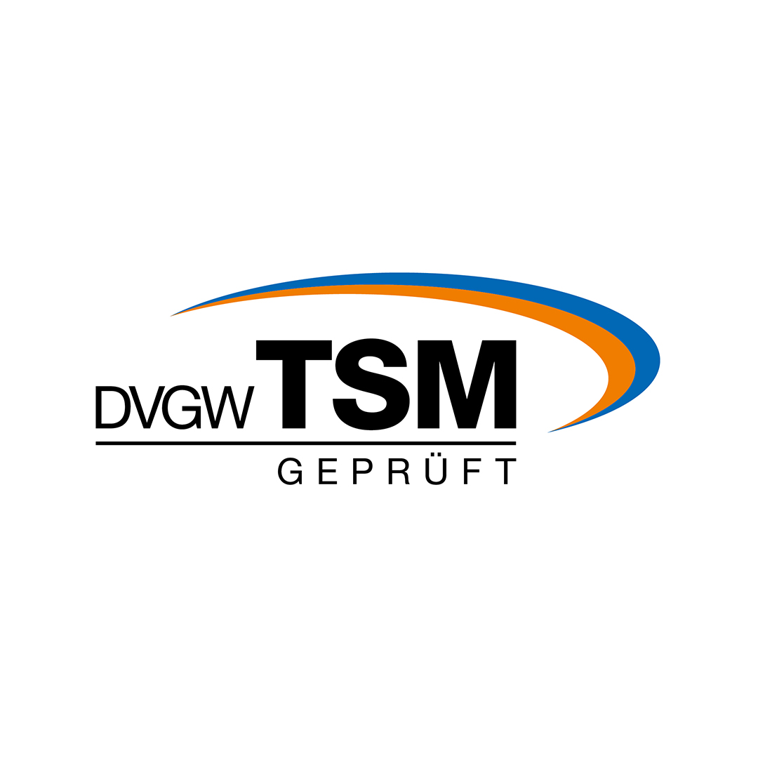 TSM-Logo